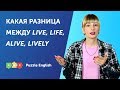 Live, life, alive, lively. В чём разница?