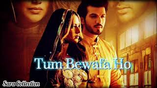 Tum Bewafa Ho | Payal Dev , Stebin Ben