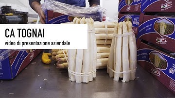 Ca Tognai - Video di presentazione