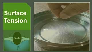 SURFACE TENSION EXPERIMENT | SURFACE TENSION OBSERVATION DEMONSTRATION | Define surface tension