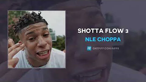 NLECHOPPA SHOTTA FLOW 3 (Audio)