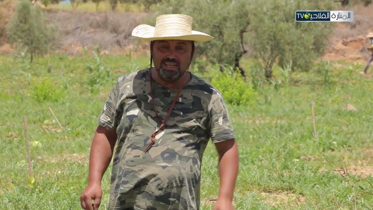 البذور الاصلية لحفظ الموروث الجيني