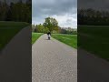Zip 125cc 2t Flyby Music Phonkmusic Audio Song 125 Piaggio Bikelife Zip 125cc 2t Flyby Music Phonkmusic Audio Song 125 Piaggio Bikelife