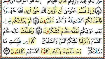 القران الكريم دقة عالية سورة البقرة من الاية 49- 61 بصوت الغامدي كتابة و ايات ملونة باحكام التلاوة