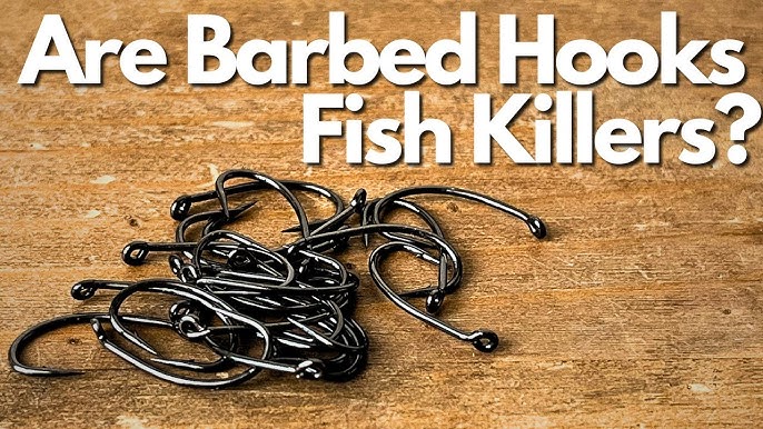 BARBED or BARBLESS HOOKS? Barbless catch MORE FISH! 