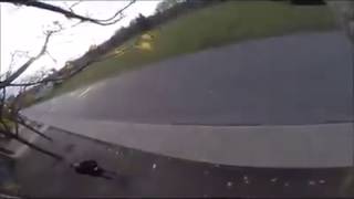 Squirrel steals a guys camera.. TOO FUNNY