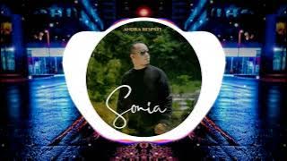 DJ SONIA - ANDRA RESPATI REMIX VIRAL TIKTOK 2023