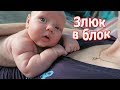 VLOG: Как поймать Пилота / Устала от шлака в комментариях