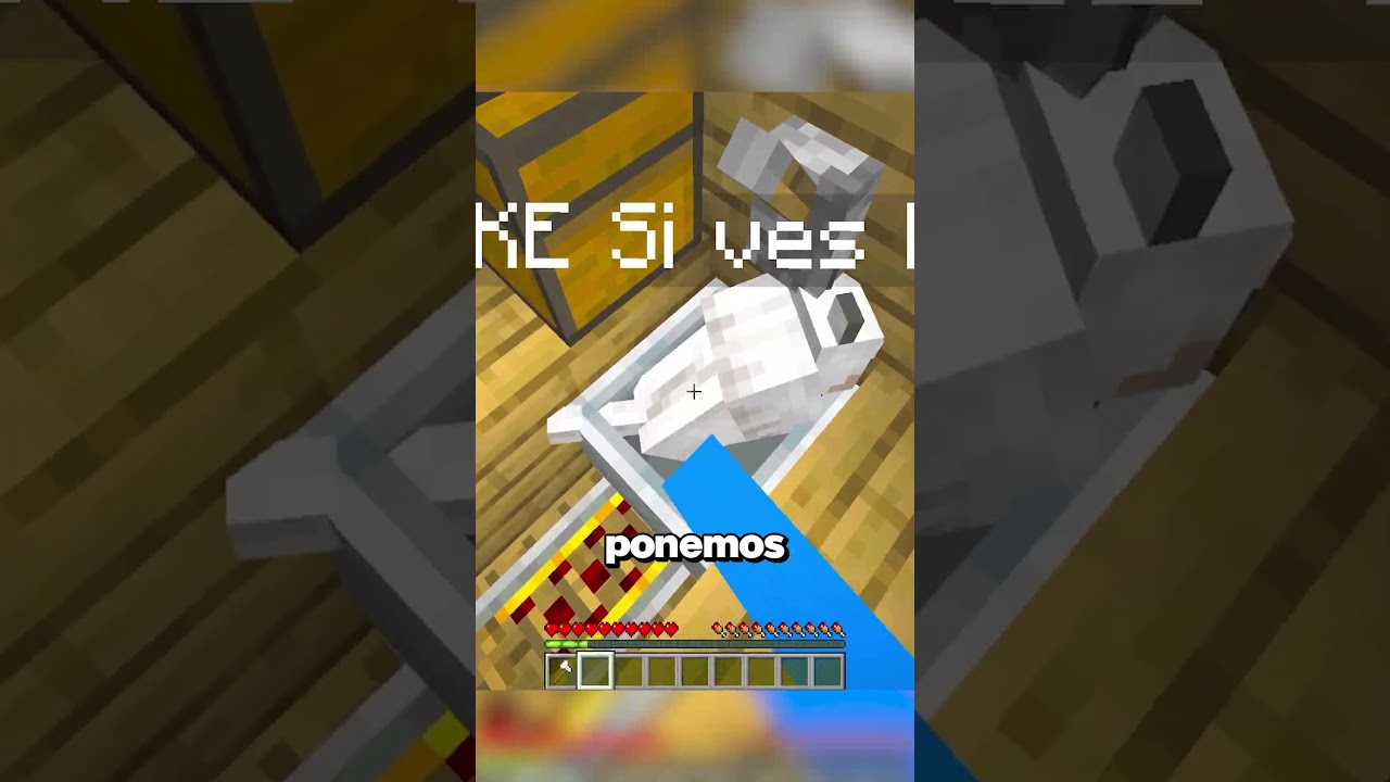 Rescaté a mi Gatito y a mi Perrito en Minecraft!