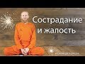 Сострадание и жалость