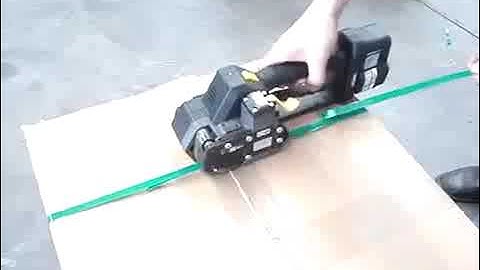 FROMM Packaging Systems: P318