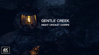 Gentle Creek, Night Cricket Chirps: Relaxing White Noise Video. Sleep Aid. Stream Sounds. 4K ASMR