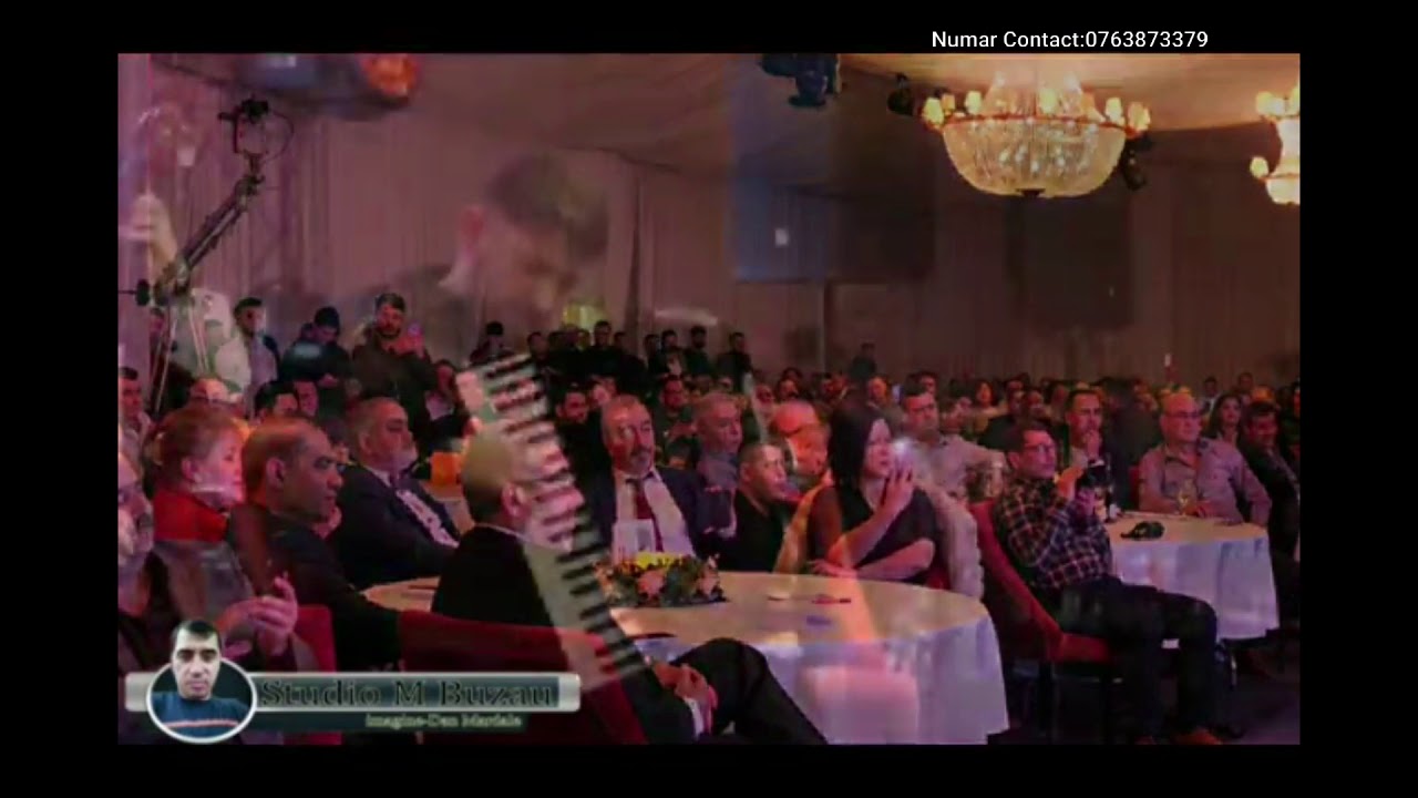 Marius Turneanu Festivalul Ionica Minune