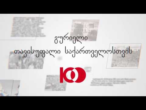 გურიელი თავისუფალი საქართველოსთვის - ზურა შევარდნაძე