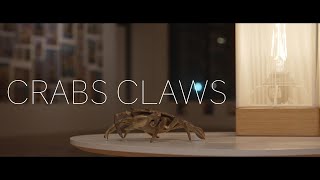Live Acoustic Performance - Crabs Claws by NICK BOHLE - OFFICIAL