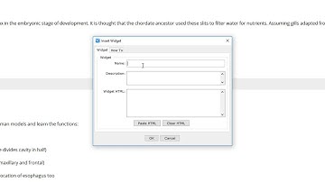 How to embed a quizlet into softchalk