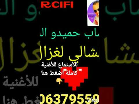 حميدو الكرسيفي مشالي لغزال