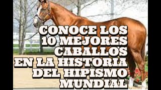 LOS 10 CABALLOS MAS ESPECTACULARES DE LA HISTORIA HIPICA MUNDIAL (Top 10 The Best Horses in History)