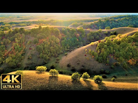 Video: Hvorfor, Det Umenneskelige, Der Styrer Vores Verden, Gør Jorden Til En ørken? - Alternativ Visning