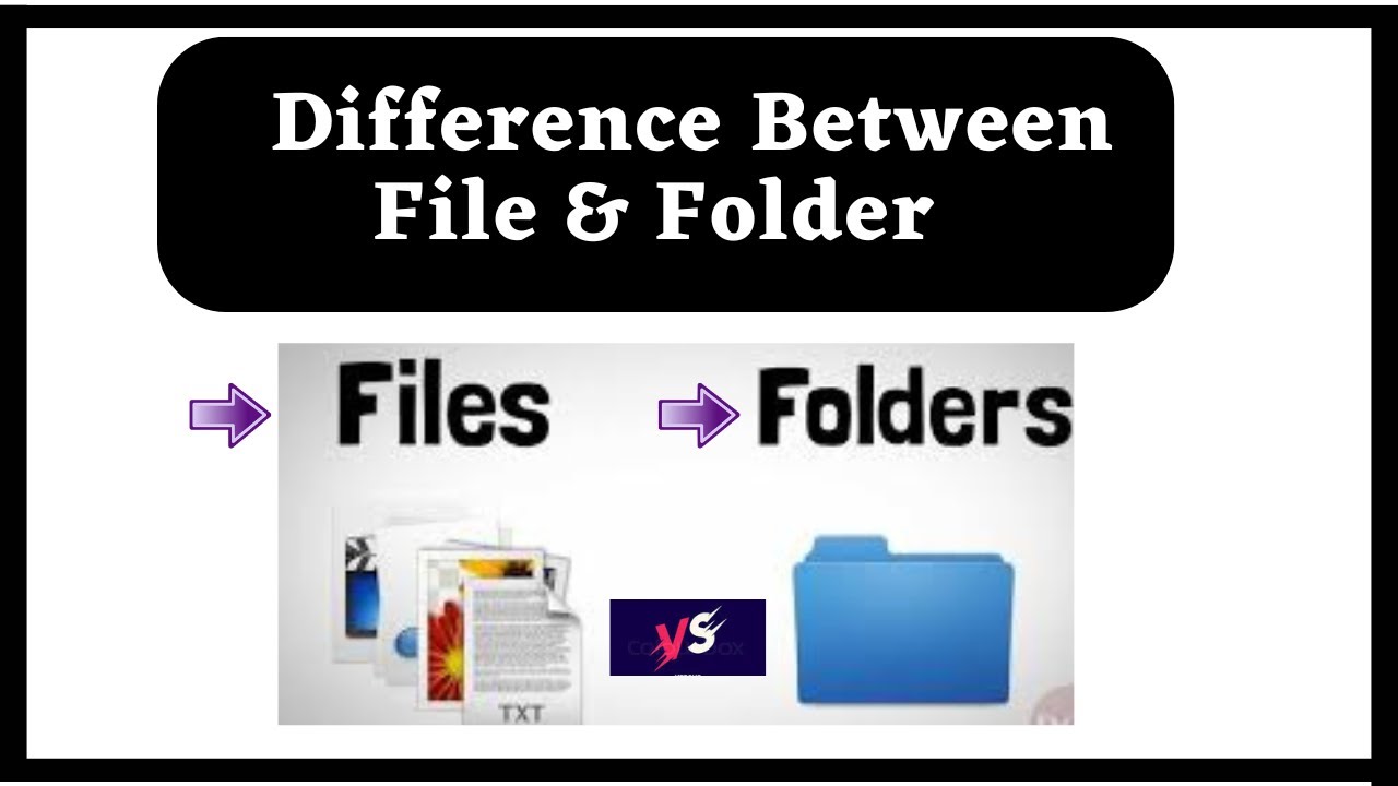 Difference Between File and Folder in Computer | What is File | | What ...