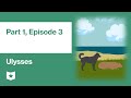Understanding the Video Tutorial