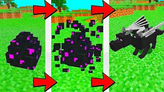 How to hatch a dragon egg in Minecraft