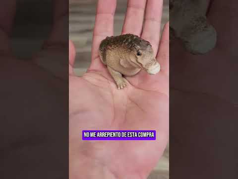 Me compré un