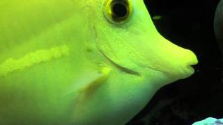 20101229211138.mpeg