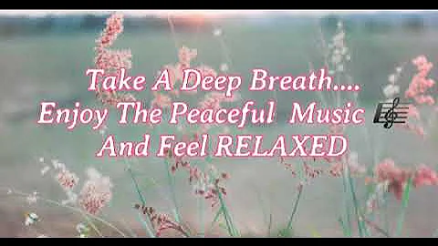 Meditation | Relaxation Music Video | Best of Natu...