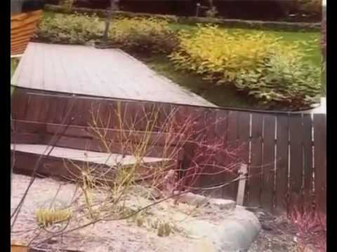 Кустарники Вашего сада. Ландшафтный дизайн Кемерово