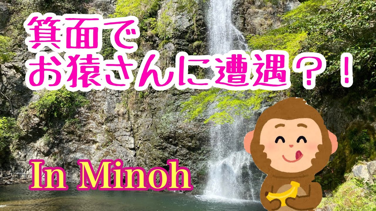 お猿さんを発見しました🐵箕面／みのお - YouTube