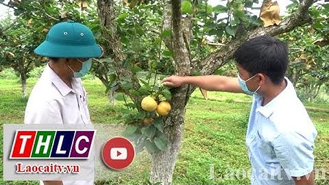 Tăng cường vai trò lãnh đạo của Đảng trong nhiệm vụ giảm nghèo | THLC