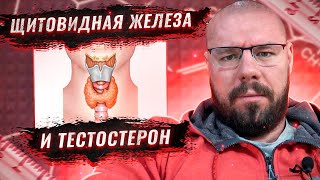картинка: Гормоны щитовидной железы, их нарушения, и взаимосвязь с половыми гормонами Тестостерон и эстрадиол