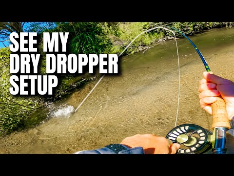 Fly Fishing with a Dry Dropper Rig (aka Hopper Dropper) 