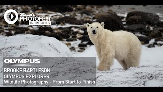 Wildlife Photography - From Start to Finish with Olympus Explorer, Brooke Bartleson