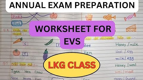 Lkg class Evs worksheet| Evs worksheet for Lkg class|