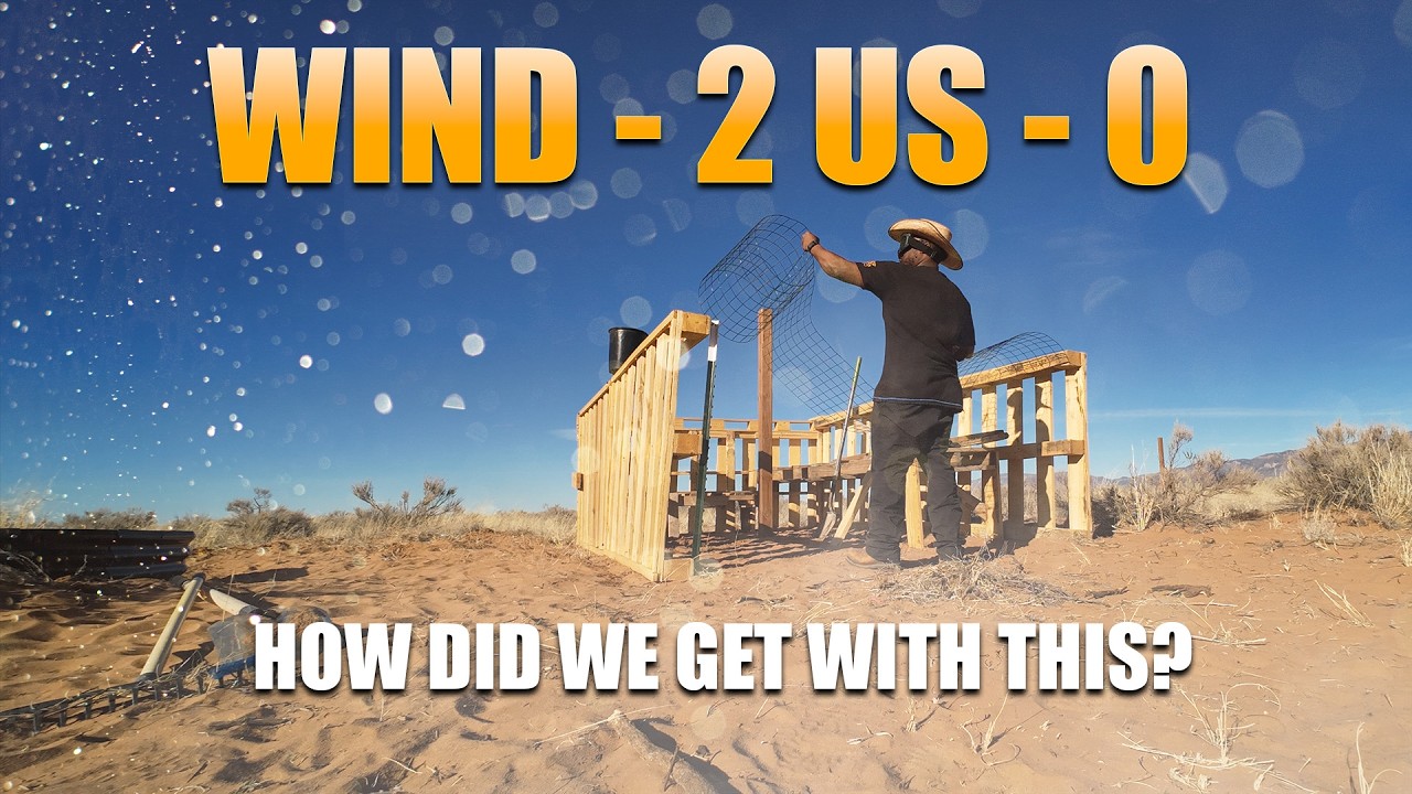 Обычный день в автономном фермерском хозяйстве в пустыне... с Винди.