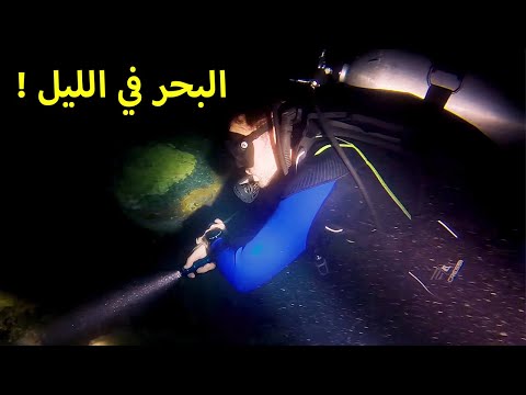 نزلنا البحر في نص الليل