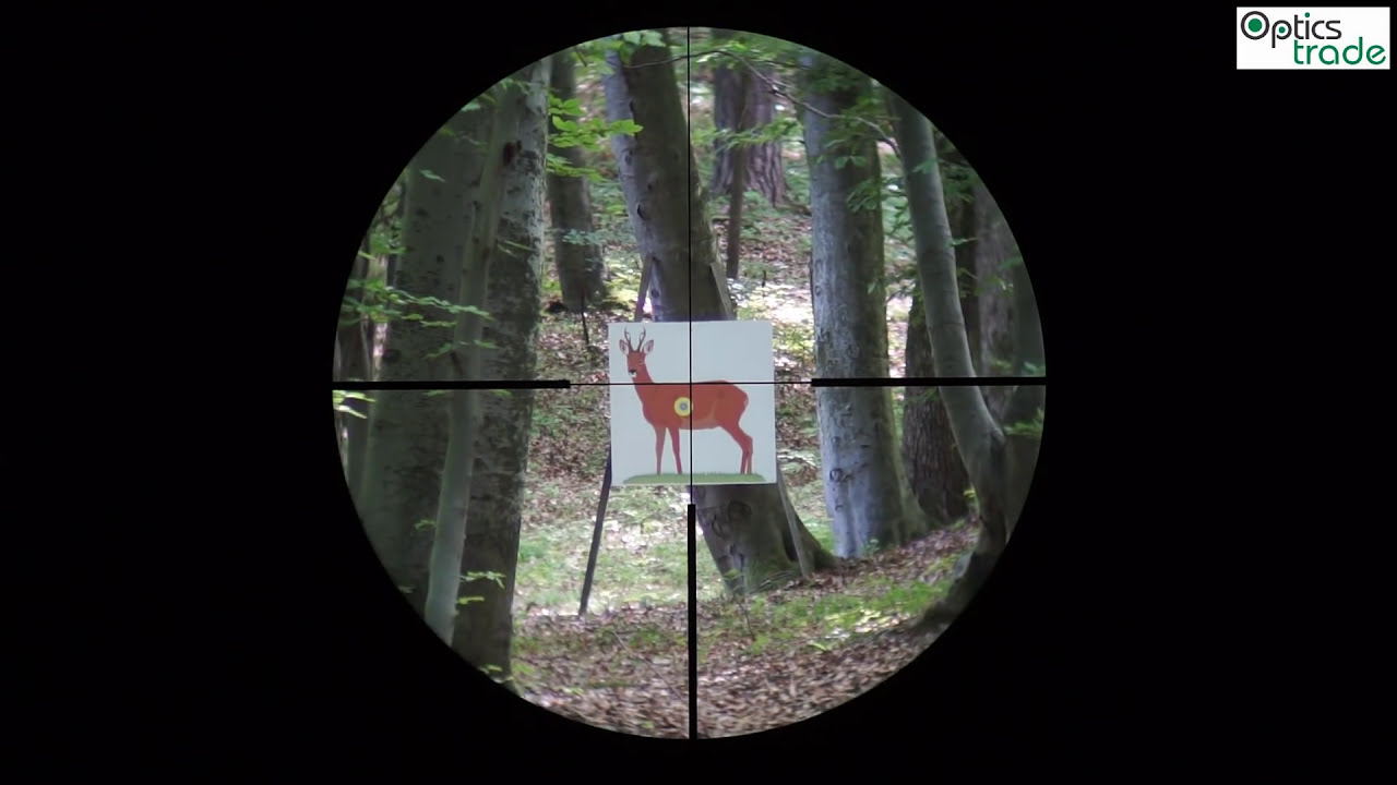 zeiss-conquest-v6-2-12x50-reticle-60-reticlesubtensions-youtube