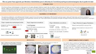 La Détection De 𝐶𝑙𝑜𝑠𝑡𝑟𝑖𝑑𝑖𝑢𝑚 𝑝𝑒𝑟𝑓𝑟𝑖𝑛𝑔𝑒𝑛𝑠 Entérotoxinogène Chez Le Poulet De Chair
