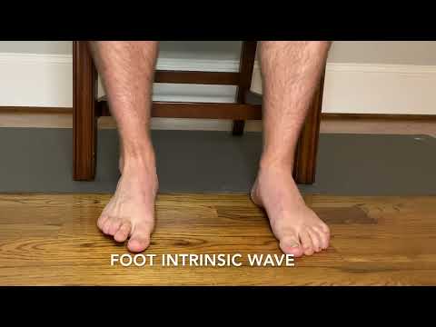 Foot Intrinsic Wave