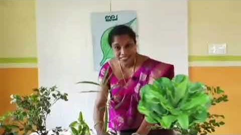 Std 3 Evs Unit 1 Class 03 White Board ASD