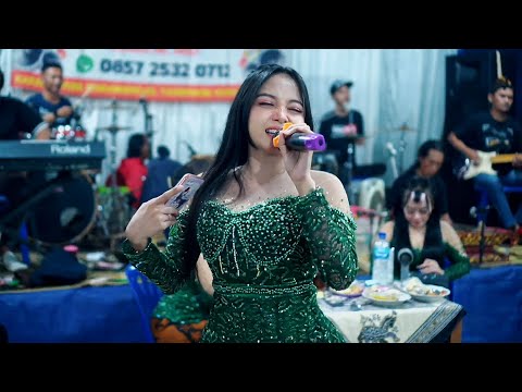 FULL ALBUM AREVA MUSIC HORE TERBARU 2025 #areva #fyp