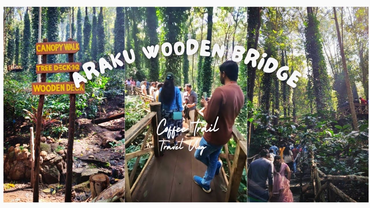 Wooden Bridge/ Coffee Trail/ Coffee Plantation/ Wooden Canopy/ Araku Valley/ Andhra Pradesh Tour