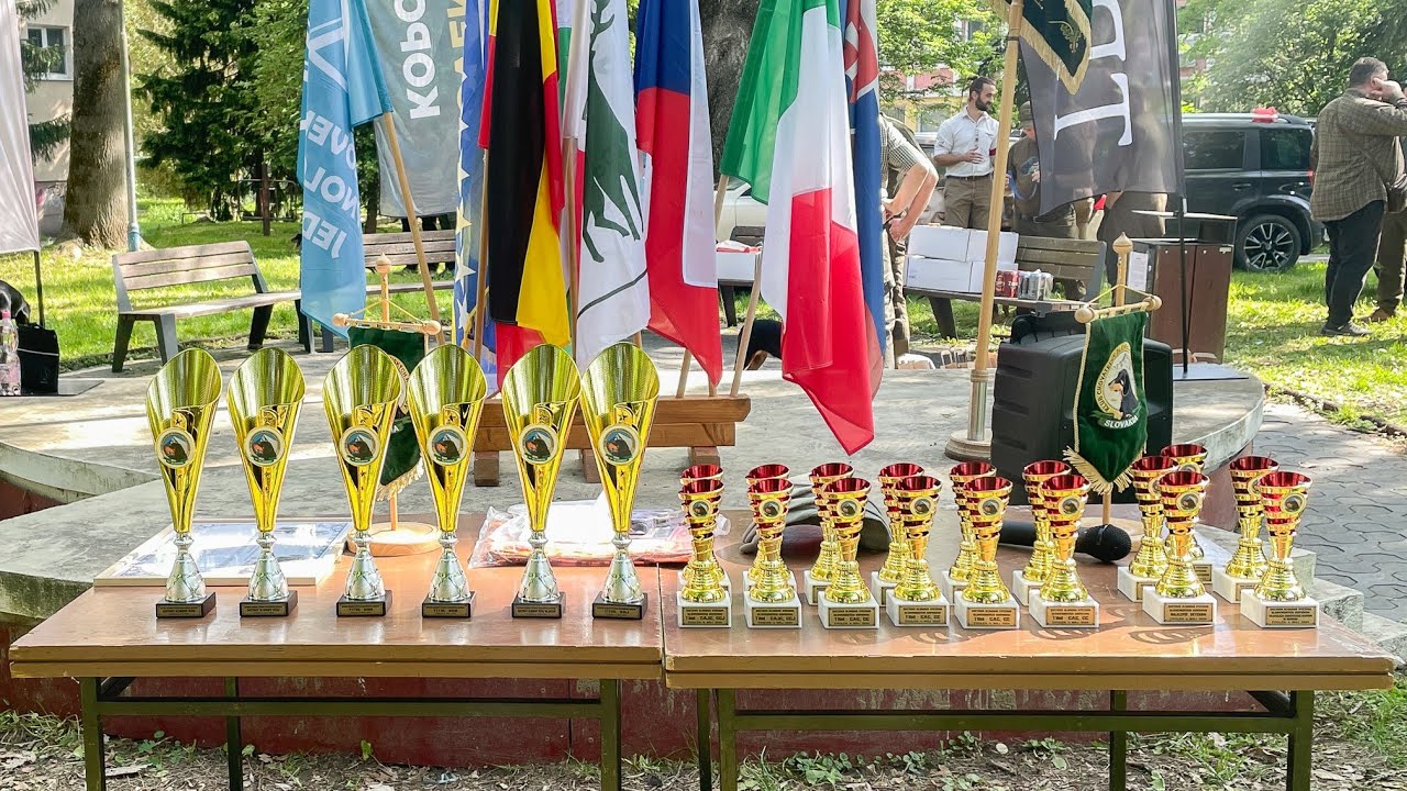 Svetová klubová výstava slovenských kopovov 2024 - vyhodnotenie