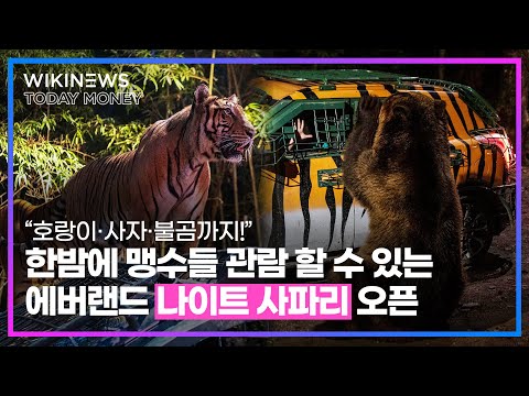 한밤에 맹수들 관람 할 수 있는 <strong>에버랜드</strong> ‘나이트 <strong>사파리</strong>’ 오픈