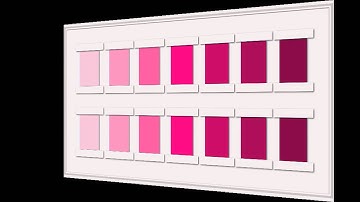 Refining the Visual Sense - Colors Lightest to Darkest Montessori