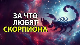 картинка: СКОРПИОН - Чем привлекает внимание этот знак зодиака