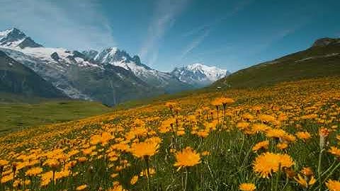 القارئ الفاتح محمد الزبير ||سورة الشمس|| Alfateh Mohamed Alzubair|| Surah Ash-Shams