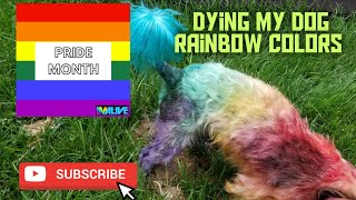 DYING MY DOG RAINBOW COLORS with food coloring